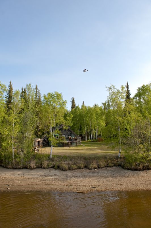 Brush Clearing Service in Utah County, UT